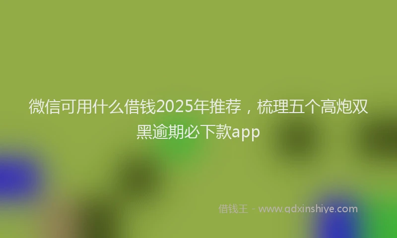 微信可用什么借钱2025年推荐，梳理五个高炮双黑逾期必下款app