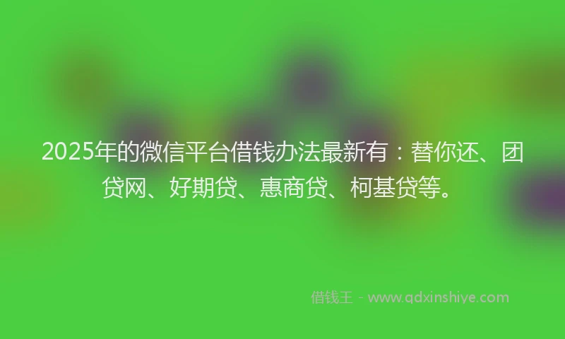 2025年的微信平台借钱办法最新有：替你还、团贷网、好期贷、惠商贷、柯基贷等。