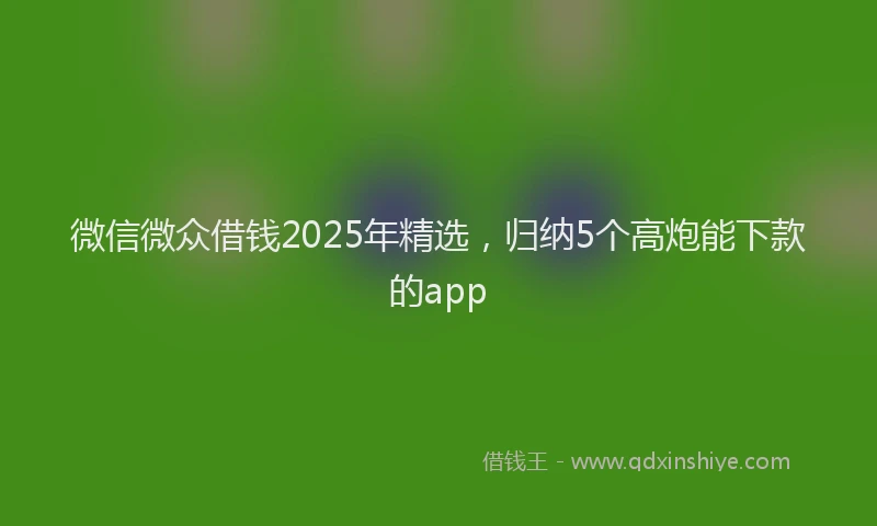 微信微众借钱2025年精选，归纳5个高炮能下款的app
