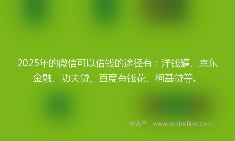 2025年的微信可以借钱的途径有：洋钱罐、京东金融、功夫贷、百度有钱花、柯基贷等。