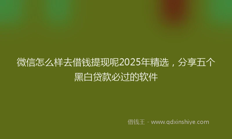 微信怎么样去借钱提现呢2025年精选，分享五个黑白贷款必过的软件