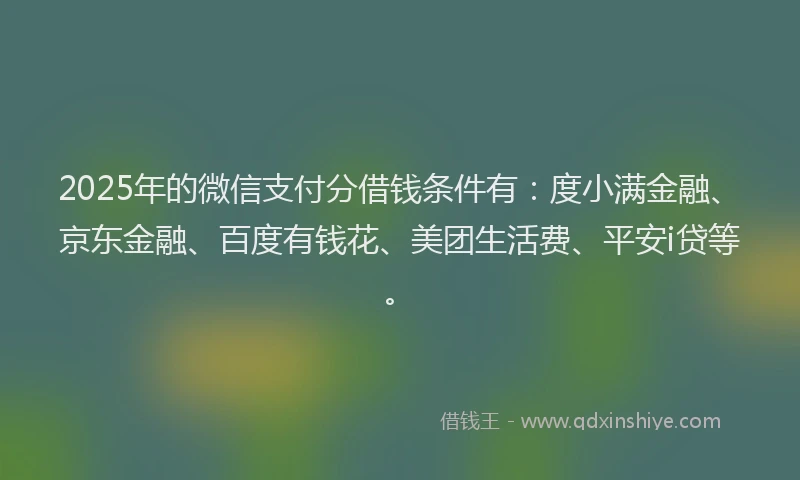2025年的微信支付分借钱条件有：度小满金融、京东金融、百度有钱花、美团生活费、平安i贷等。
