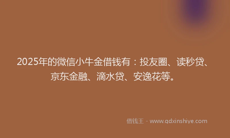 2025年的微信小牛金借钱有：投友圈、读秒贷、京东金融、滴水贷、安逸花等。