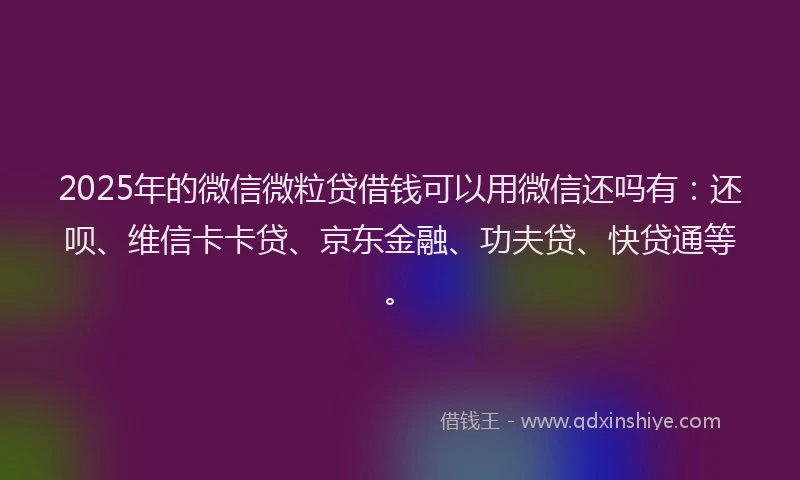 2025年的微信微粒贷借钱可以用微信还吗有：还呗、维信卡卡贷、京东金融、功夫贷、快贷通等。