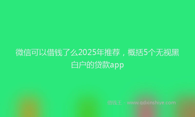 微信可以借钱了么2025年推荐，概括5个无视黑白户的贷款app