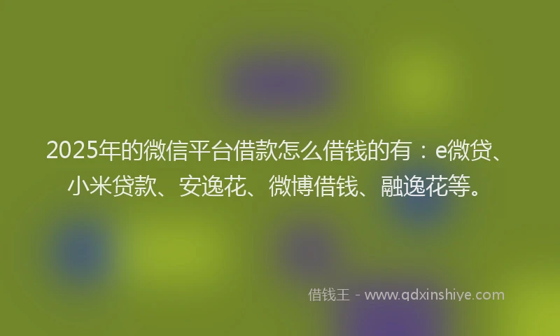2025年的微信平台借款怎么借钱的有：e微贷、小米贷款、安逸花、微博借钱、融逸花等。