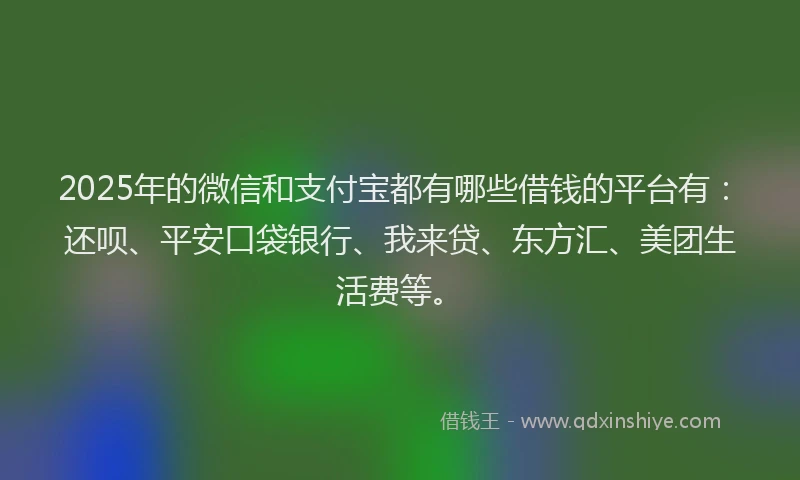 2025年的微信和支付宝都有哪些借钱的平台有：还呗、平安口袋银行、我来贷、东方汇、美团生活费等。