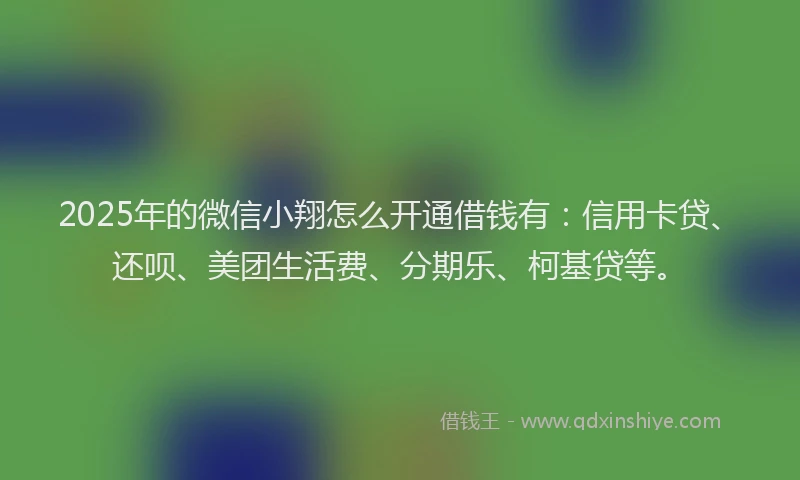 2025年的微信小翔怎么开通借钱有：信用卡贷、还呗、美团生活费、分期乐、柯基贷等。