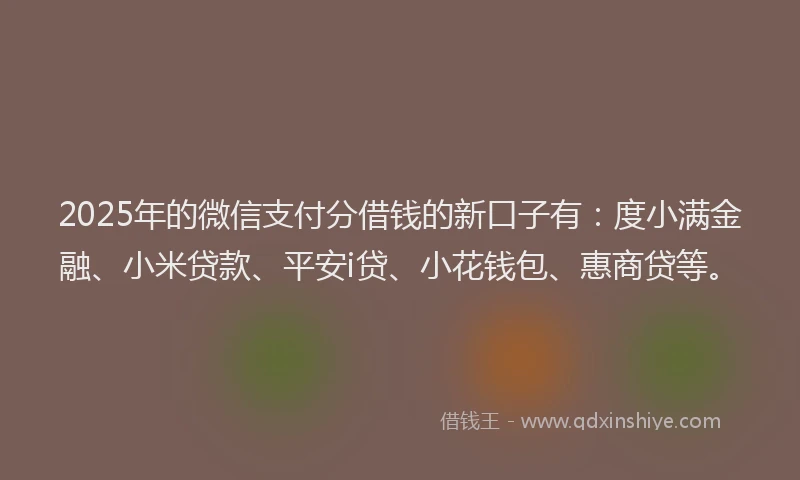 2025年的微信支付分借钱的新口子有：度小满金融、小米贷款、平安i贷、小花钱包、惠商贷等。