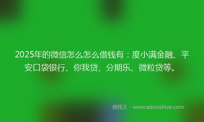 2025年的微信怎么怎么借钱有：度小满金融、平安口袋银行、你我贷、分期乐、微粒贷等。