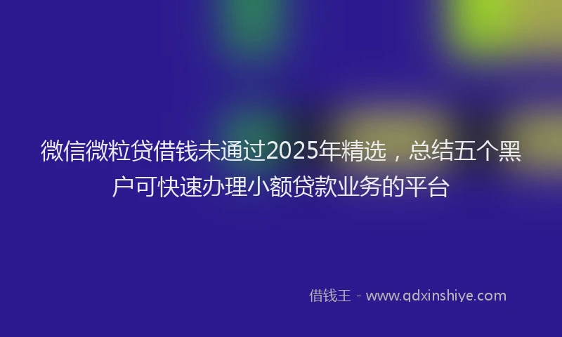 微信微粒贷借钱未通过2025年精选，总结五个黑户可快速办理小额贷款业务的平台