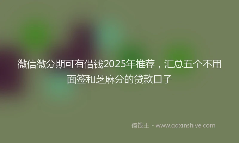 微信微分期可有借钱2025年推荐，汇总五个不用面签和芝麻分的贷款口子