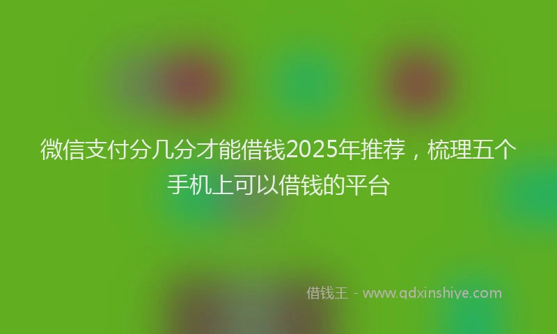 微信支付分几分才能借钱2025年推荐，梳理五个手机上可以借钱的平台