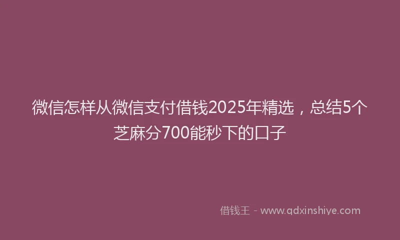 微信怎样从微信支付借钱2025年精选，总结5个芝麻分700能秒下的口子
