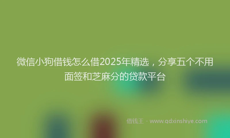 微信小狗借钱怎么借2025年精选，分享五个不用面签和芝麻分的贷款平台