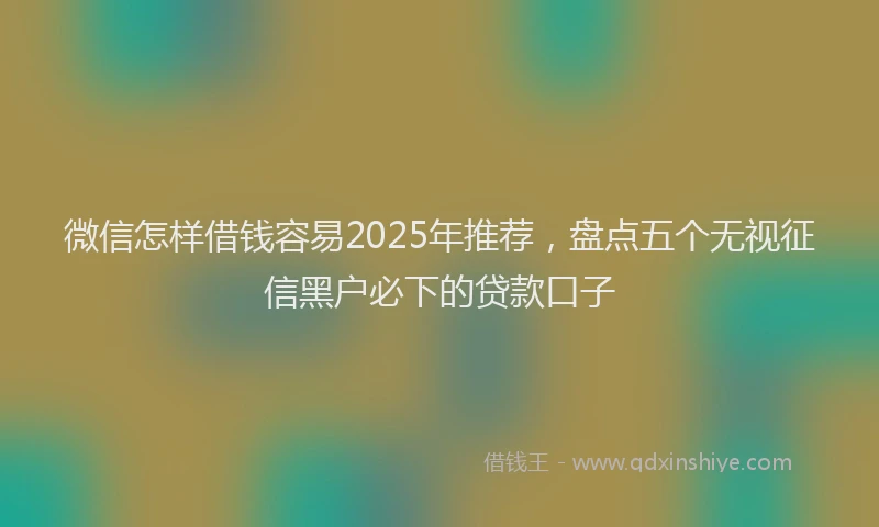 微信怎样借钱容易2025年推荐，盘点五个无视征信黑户必下的贷款口子