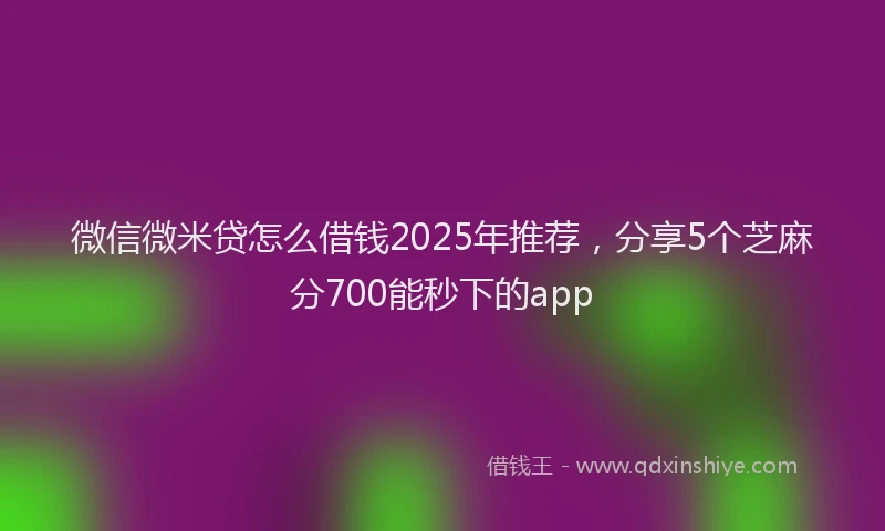 微信微米贷怎么借钱2025年推荐，分享5个芝麻分700能秒下的app