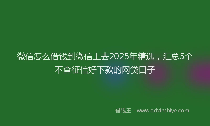 微信怎么借钱到微信上去2025年精选，汇总5个不查征信好下款的网贷口子