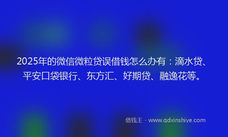 2025年的微信微粒贷误借钱怎么办有：滴水贷、平安口袋银行、东方汇、好期贷、融逸花等。