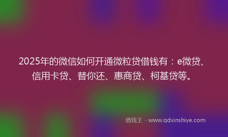 2025年的微信如何开通微粒贷借钱有：e微贷、信用卡贷、替你还、惠商贷、柯基贷等。