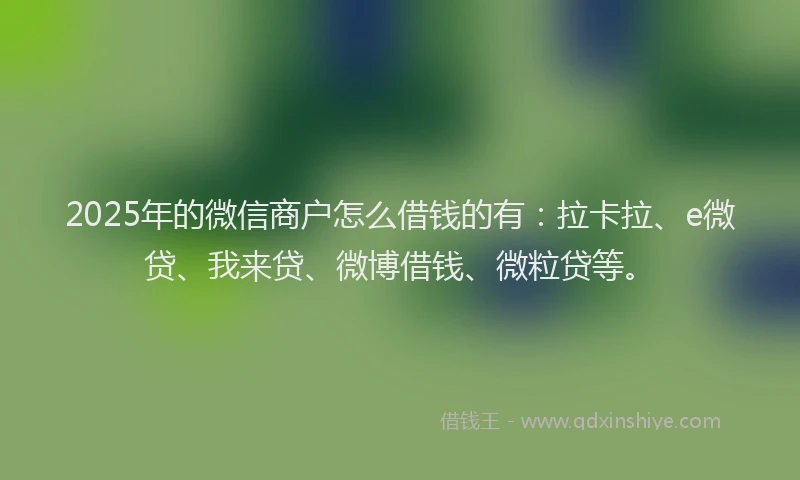 2025年的微信商户怎么借钱的有：拉卡拉、e微贷、我来贷、微博借钱、微粒贷等。