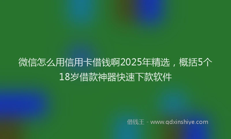 微信怎么用信用卡借钱啊2025年精选，概括5个18岁借款神器快速下款软件