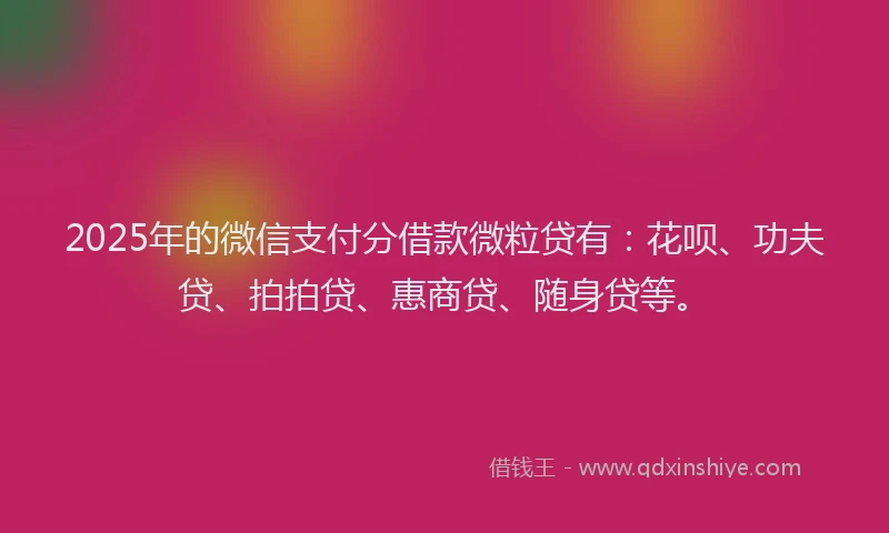 2025年的微信支付分借款微粒贷有：花呗、功夫贷、拍拍贷、惠商贷、随身贷等。
