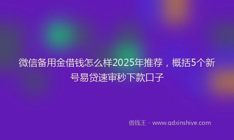 微信备用金借钱怎么样2025年推荐，概括5个新号易贷速审秒下款口子