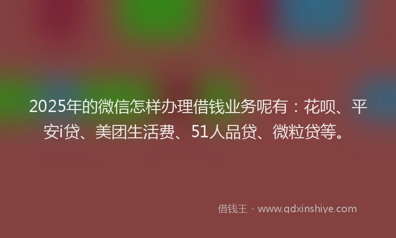2025年的微信怎样办理借钱业务呢有：花呗、平安i贷、美团生活费、51人品贷、微粒贷等。