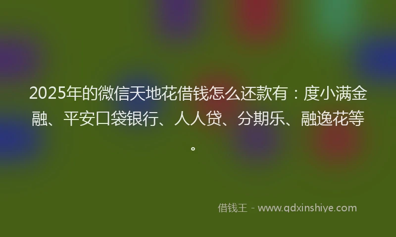 2025年的微信天地花借钱怎么还款有：度小满金融、平安口袋银行、人人贷、分期乐、融逸花等。