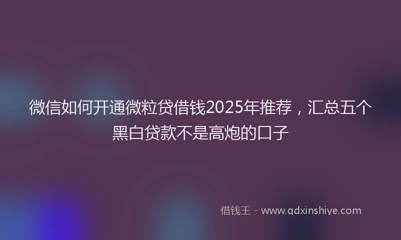 微信如何开通微粒贷借钱2025年推荐，汇总五个黑白贷款不是高炮的口子