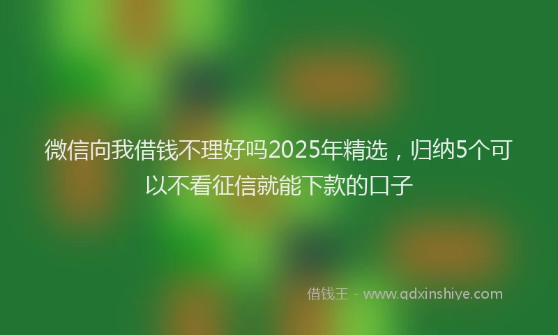 微信向我借钱不理好吗2025年精选，归纳5个可以不看征信就能下款的口子