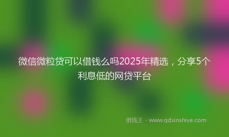 微信微粒贷可以借钱么吗2025年精选，分享5个利息低的网贷平台