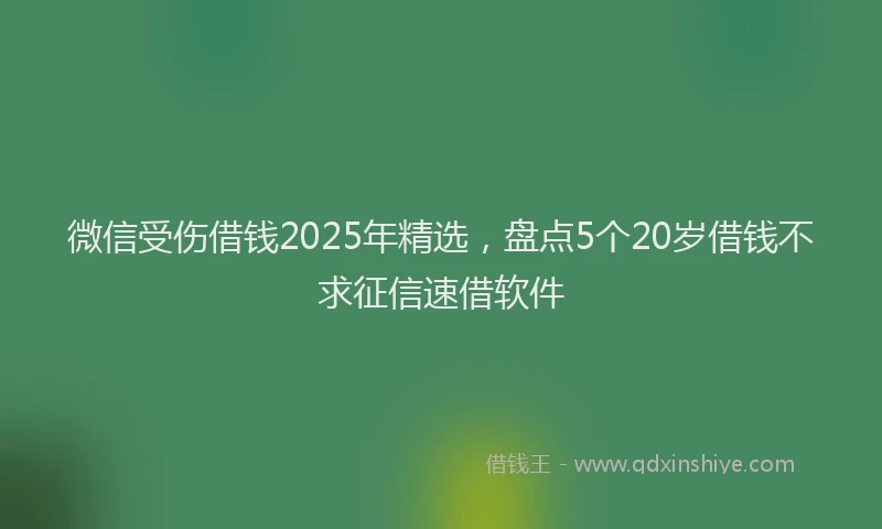 微信受伤借钱2025年精选，盘点5个20岁借钱不求征信速借软件