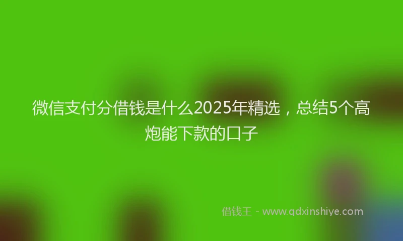 微信支付分借钱是什么2025年精选，总结5个高炮能下款的口子