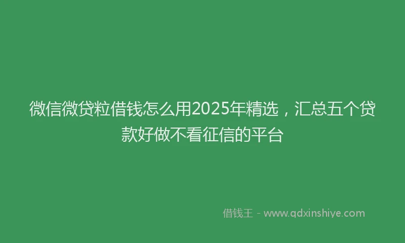 微信微贷粒借钱怎么用2025年精选，汇总五个贷款好做不看征信的平台