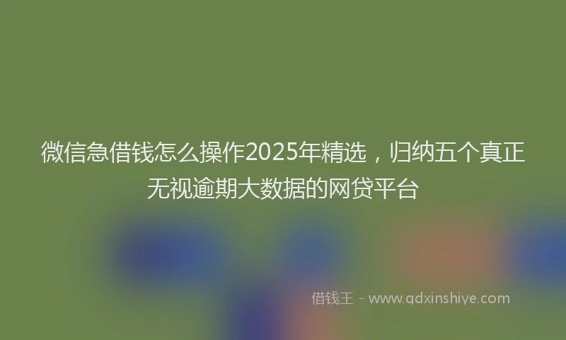 微信急借钱怎么操作2025年精选，归纳五个真正无视逾期大数据的网贷平台