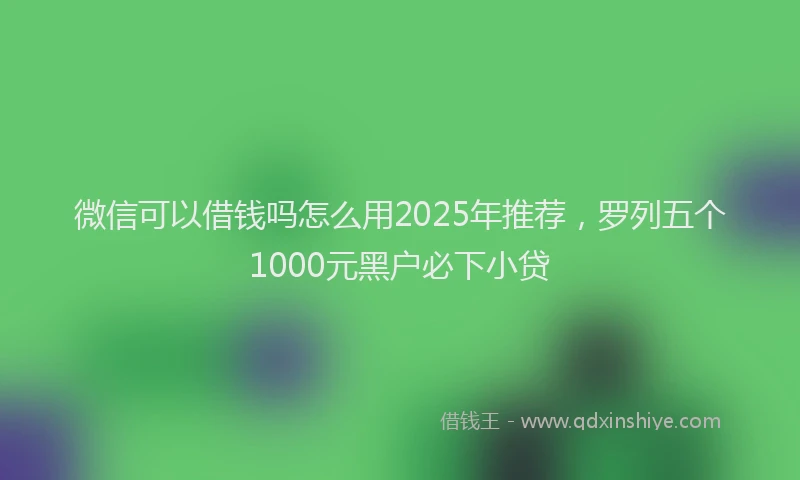 微信可以借钱吗怎么用2025年推荐，罗列五个1000元黑户必下小贷