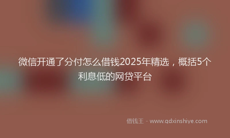 微信开通了分付怎么借钱2025年精选，概括5个利息低的网贷平台