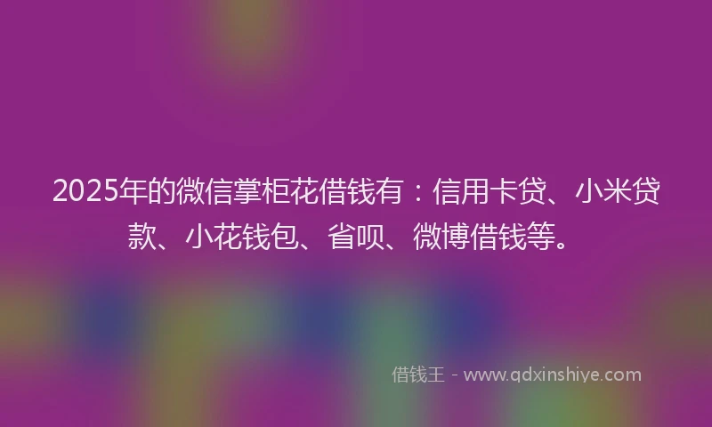 2025年的微信掌柜花借钱有：信用卡贷、小米贷款、小花钱包、省呗、微博借钱等。