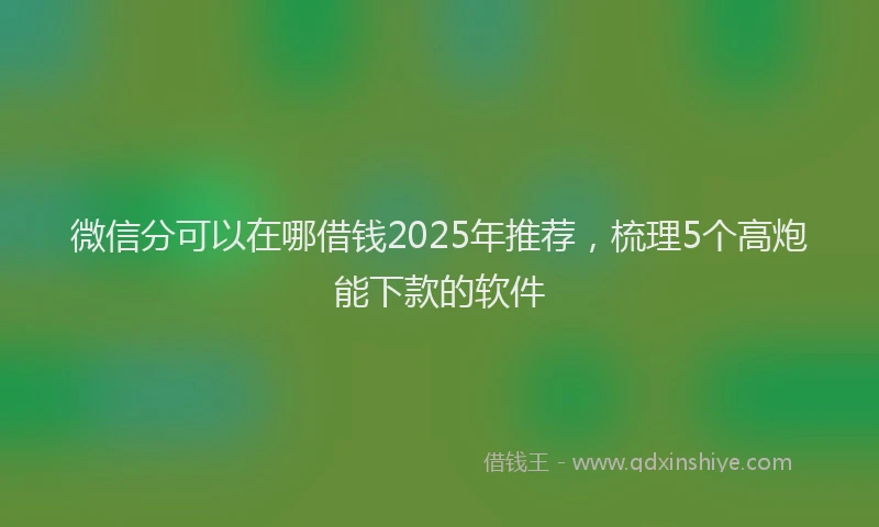 微信分可以在哪借钱2025年推荐，梳理5个高炮能下款的软件