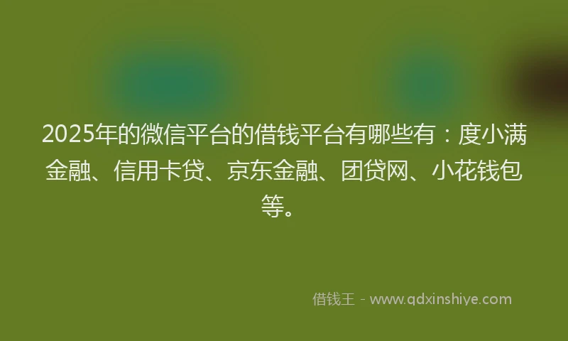2025年的微信平台的借钱平台有哪些有：度小满金融、信用卡贷、京东金融、团贷网、小花钱包等。