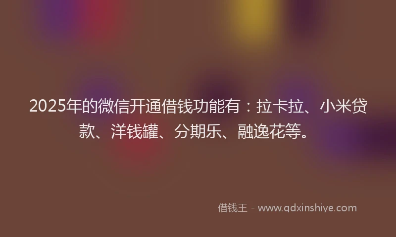 2025年的微信开通借钱功能有：拉卡拉、小米贷款、洋钱罐、分期乐、融逸花等。