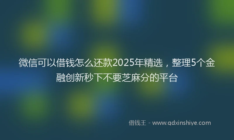 微信可以借钱怎么还款2025年精选，整理5个金融创新秒下不要芝麻分的平台