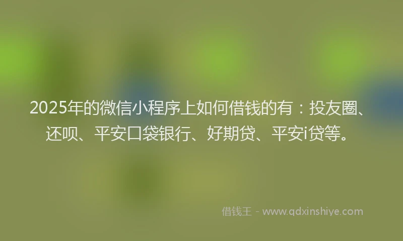 2025年的微信小程序上如何借钱的有：投友圈、还呗、平安口袋银行、好期贷、平安i贷等。