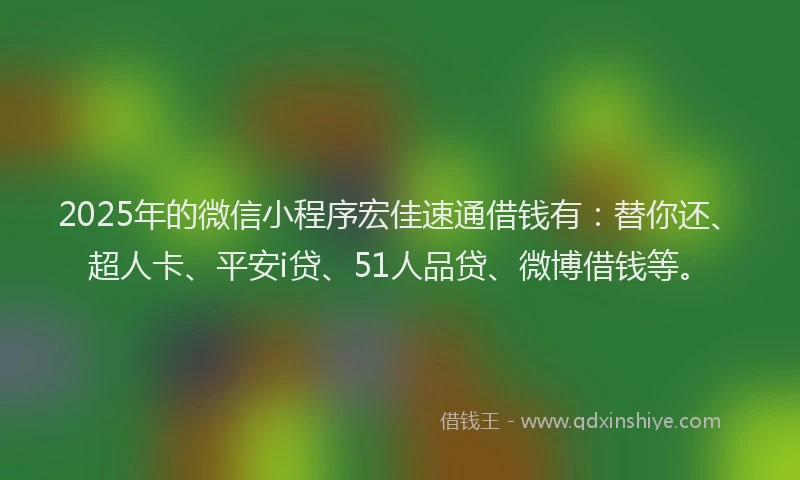 2025年的微信小程序宏佳速通借钱有：替你还、超人卡、平安i贷、51人品贷、微博借钱等。