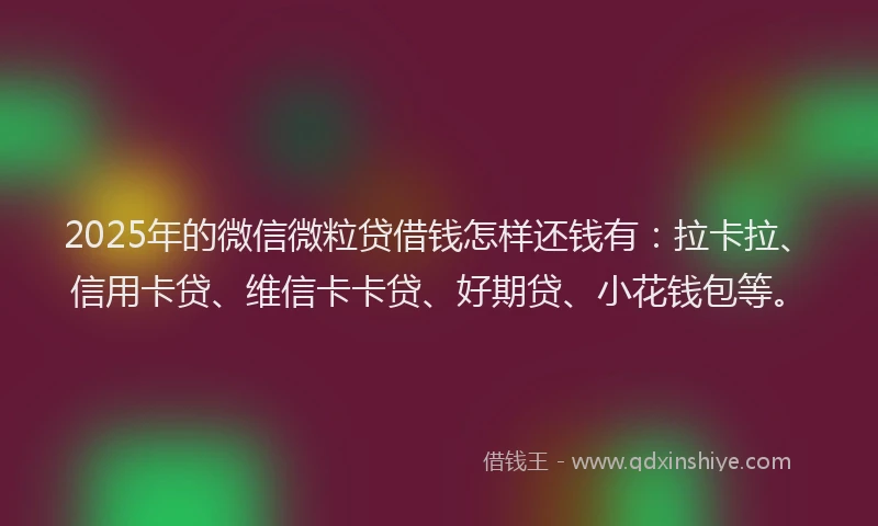 2025年的微信微粒贷借钱怎样还钱有：拉卡拉、信用卡贷、维信卡卡贷、好期贷、小花钱包等。