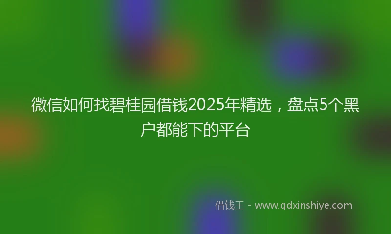 微信如何找碧桂园借钱2025年精选，盘点5个黑户都能下的平台