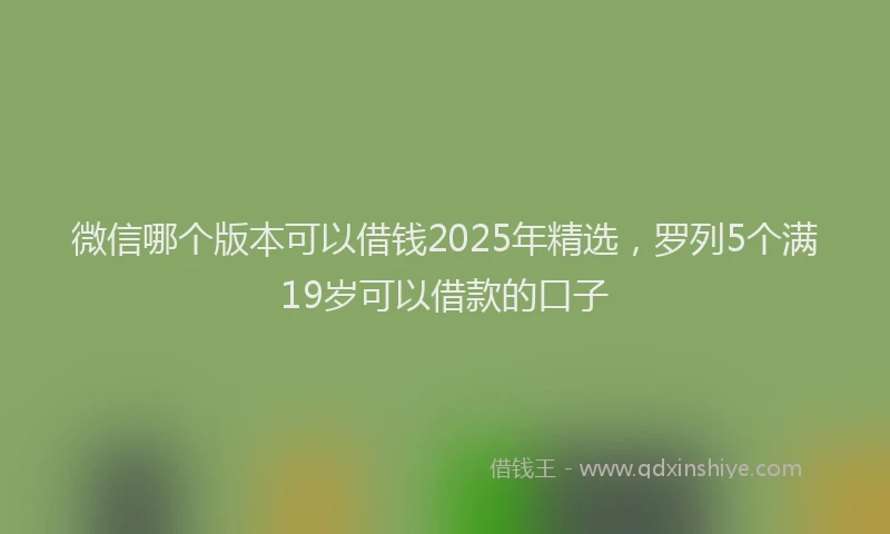 微信哪个版本可以借钱2025年精选，罗列5个满19岁可以借款的口子