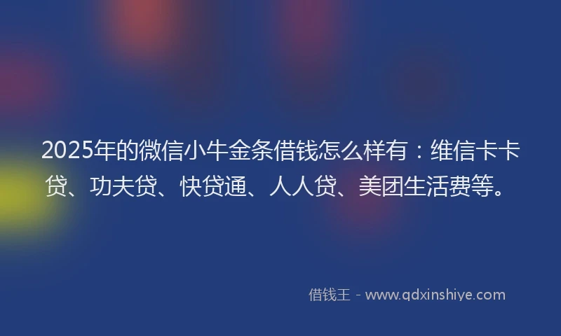2025年的微信小牛金条借钱怎么样有：维信卡卡贷、功夫贷、快贷通、人人贷、美团生活费等。